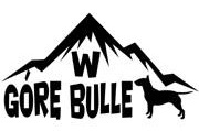 W Górę Bulle
